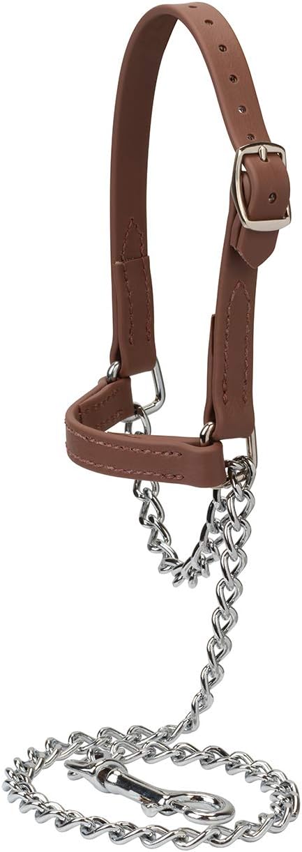 Weaver Livestock Brahma Webb Goat Halter, Medium, Brown