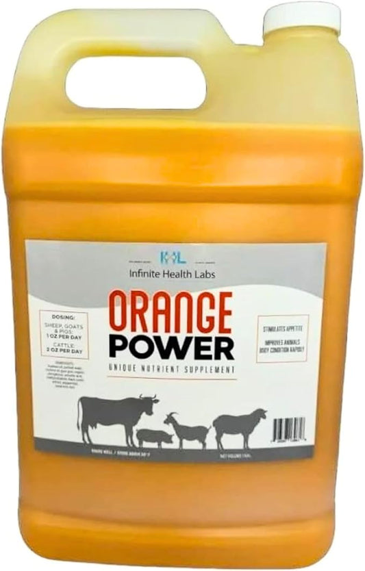 Orange Power Nutrient Supplement for Show Cattle, Sheep, Goats and Pigs - Appetite Stimulant & Performance Booster - Liquid Formula with B12 & Phosphorus (1 Gallon)