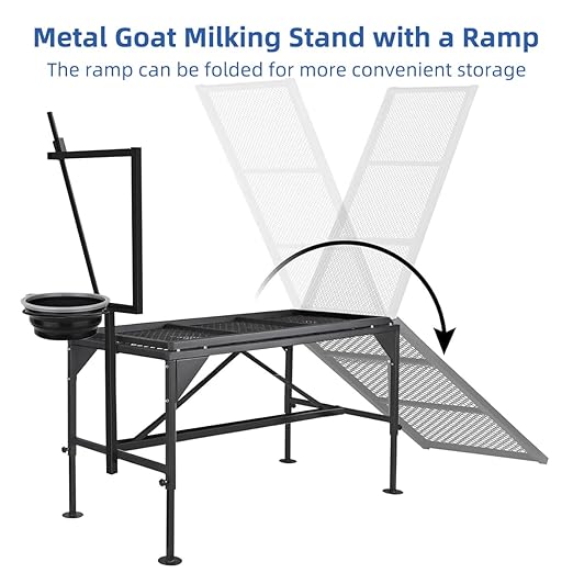 Height Adjustable Metal Goat Milking Stand with a Ramp- 600LBS Livestock Trimming Stand with Feed Bin- Goat Stand Ramp Use for Lambs Goats for Sheep Trimming