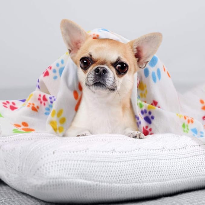 Comsmart Dog Blankets for Small Dogs, 6 Pack Puppy Blanket Cute Paw Print Pet Blanket for Dog, Puppy, Cat, Kitten, 24x28 inches, White