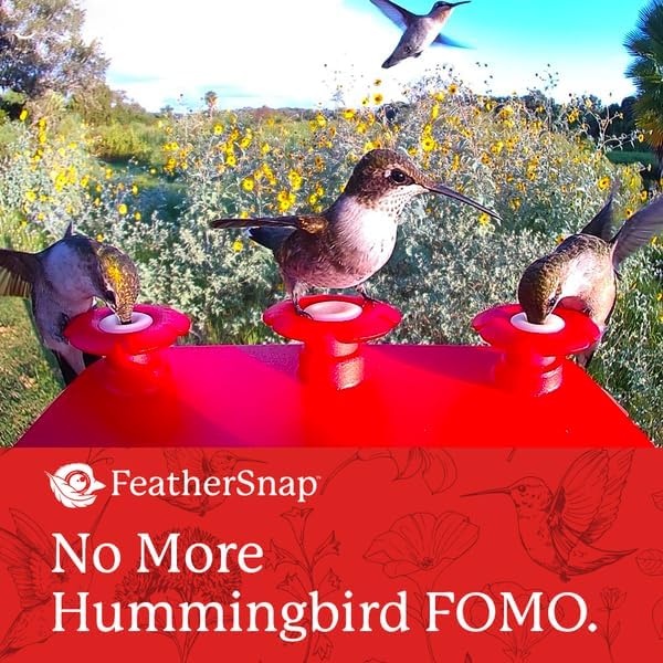 Smart Hummingbird Feeder: AI Bird ID, Wi-Fi and Solar Power, Stunning HD Images and Videos are Sent Directly to Your Phone, Easy to Clean and Hang - Best Smart Hummingbird Feeder