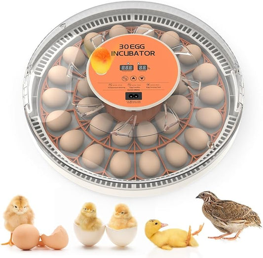 30 Egg Digital Incubator with Automatic Turner - Precision Temperature & Humidity Control, Built-in Candler for Hatching Chicken, Quail, Ducks, Goose, Pigeon, Parrot(30 Egg-Orange)