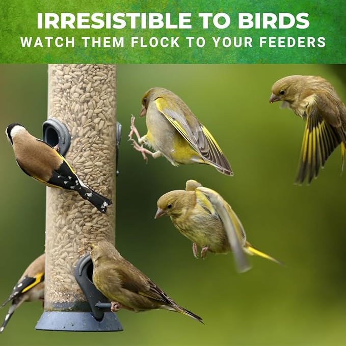 Nature Anywhere Safflower Supreme Bird Seed for Outside Feeders - Made in USA - Clean Premium Quality Wild Birds Food - Hi Protein Bird Feed - No Fillers