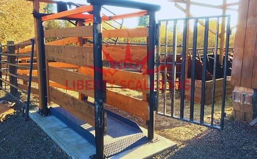 Liberty LS-929 Livestock Scale for Cattle, Measures 85" x 26" x 5, Size M-7’x26 with LCD Display Indicator