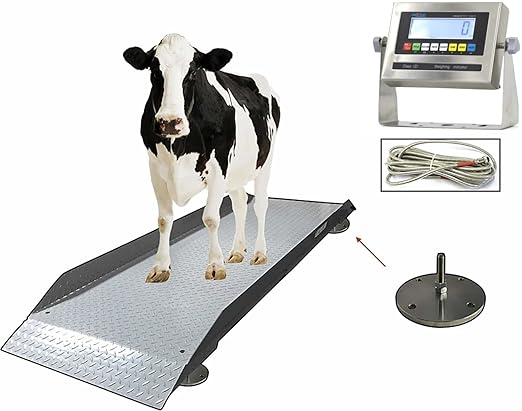 SellEton SL-929 Livestock & Cattle Alleyway Scale with The Size L-7’x36 | 5000 lbs x 1 lb