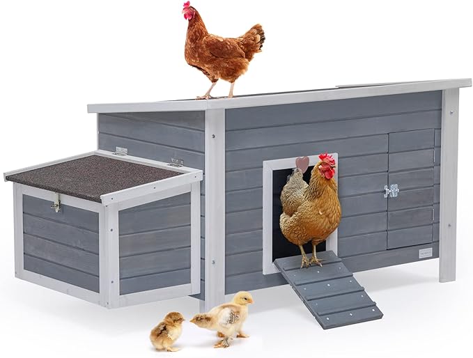 Petsfit Large Chicken Coop with Upgraded Perches, Wooden Outdoor Chicken Cage with Large Nesting Box, Weatherproof Open Asphalt Roof &Removable Bottom, Duck House, Rabbit Hutch