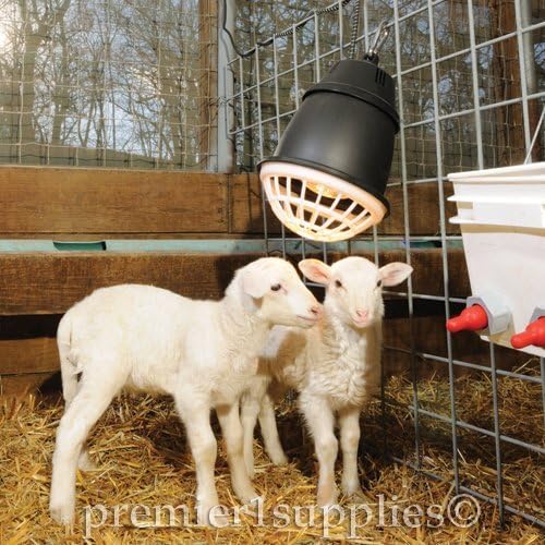 Premier 1 “Prima” Heat Lamp®