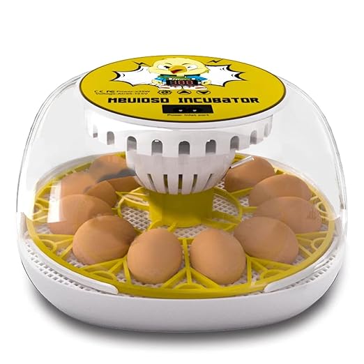Egg Incubator for Hatching Chicks, 12-24 Egg Incubators with Auto Turning, Automatic Water Top-up, Fahrenheit Display, 360° View Poultry Incubator for Hatching Chicken Duck Quail Parrot
