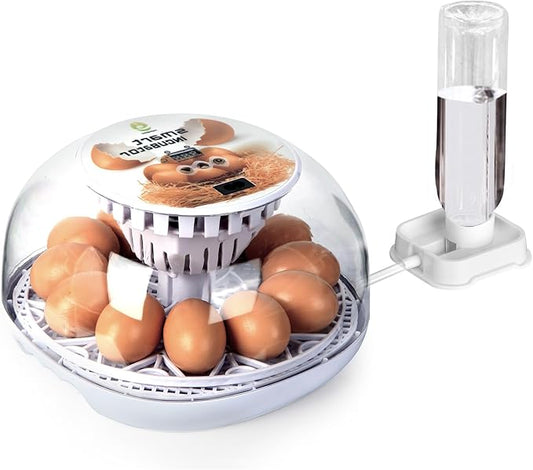 12 Egg Digital Incubator Automatic Turner, Humidity Control & LED Candler for Hatching Chicken, Duck, Quail & More with Auto Water Refill (12 Egg-White)