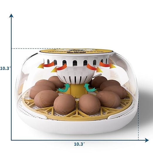 Egg Incubator for Hatching Chicks, 12-24 Egg Incubators with Auto Turning, Automatic Water Top-up, Fahrenheit Display, 360° View Poultry Incubator for Hatching Chicken Duck Quail Parrot