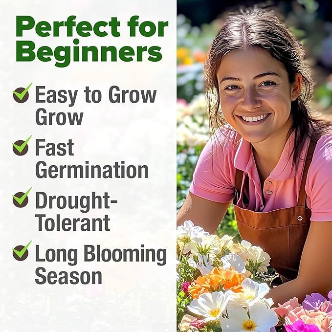 HOME GROWN 47000+ Moss Rose Seeds (Bulk Pack) Annual Flower for Ground Cover - Heirloom Non-GMO Portulaca Seeds for Planting Outdoors - Great for Low-Maintenance Gardens (Portulaca grandiflora)