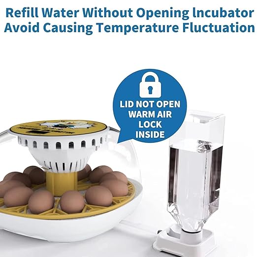 Egg Incubator for Hatching Chicks, 12-24 Egg Incubators with Auto Turning, Automatic Water Top-up, Fahrenheit Display, 360° View Poultry Incubator for Hatching Chicken Duck Quail Parrot