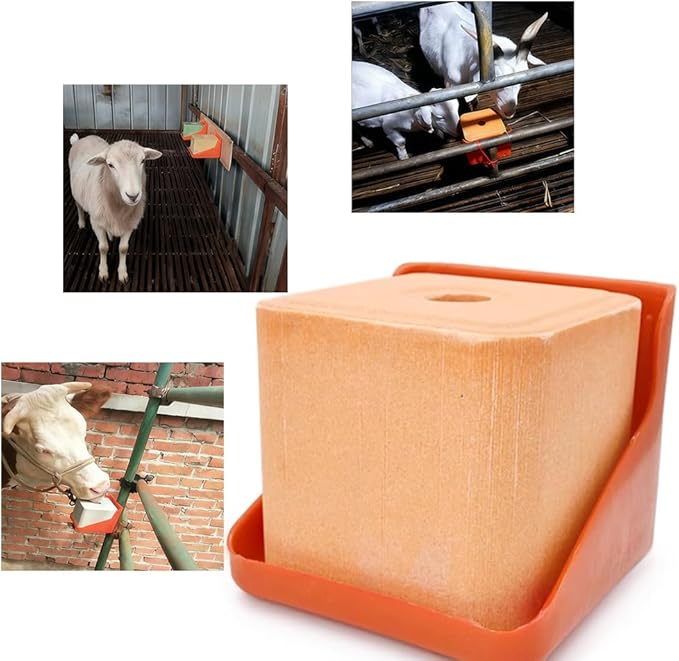 2 Pack Thick Salt Block Holder Mineral Brick Feeder Tray for Cattle Horse Goat Sheep (Small Size, Orange)