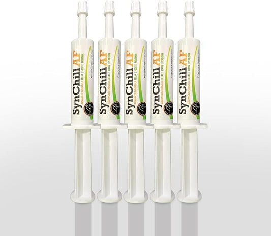 SynChill AF Behavioral Support Gel for Horses – Single Serving – Advanced L-THEANINE-Free Formula, 100% Natural Supplement, Composure, Focus & Confidence Support for Horses - 5 Pack