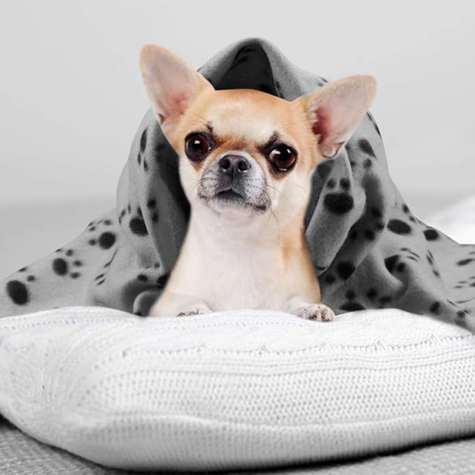 Comsmart Dog Blankets for Small Dogs, 6 Pack Puppy Blanket Cute Paw Print Pet Blanket for Dog, Puppy, Cat, Kitten, 24x28 inches, Grey