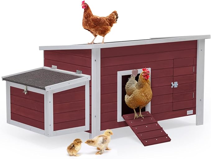 Petsfit Large Chicken Coop with Upgraded Perches, Wooden Outdoor Chicken Cage with Large Nesting Box, Weatherproof Open Asphalt Roof, and Removable Bottom for Easy Cleaning