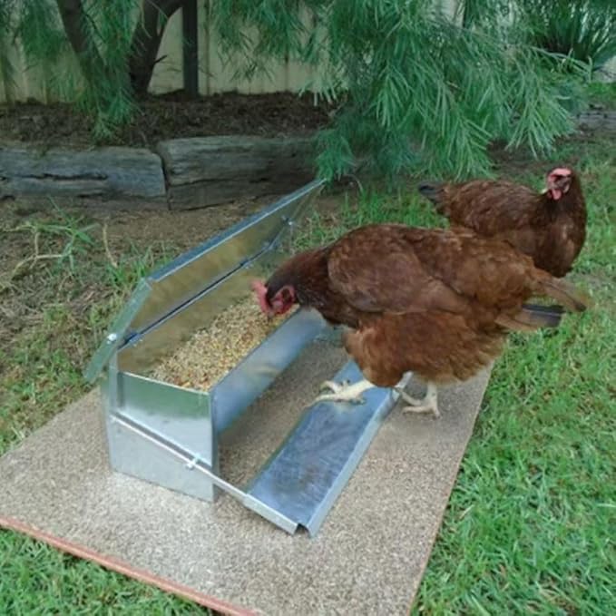 2025 New Treadle Chicken Feeder Automatic 15 lb Large Capacity and Sturdy Galvanized Chicken Feeder with Rat Proof and Waterproof lid Pedal operates The Automatic Switch No Waste and spillage