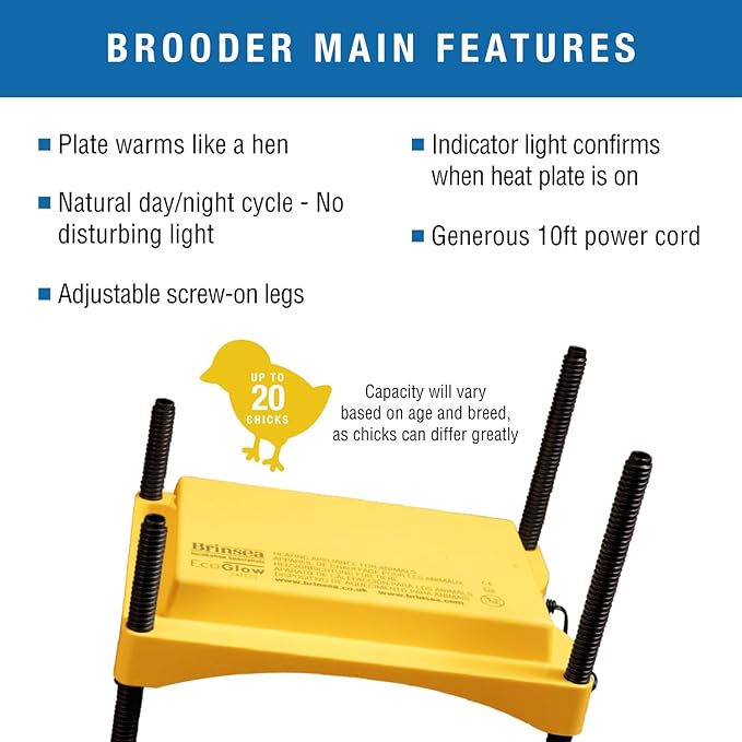 Brinsea Mini II Advance Egg Incubator Classroom Kit Brooder Pack for Students with Lesson Plan, Egg Scope, EcoGlow Brooder, Plastic Chick Enclosure, Feeder and Drinker for Hatching Chicks, Ducklings