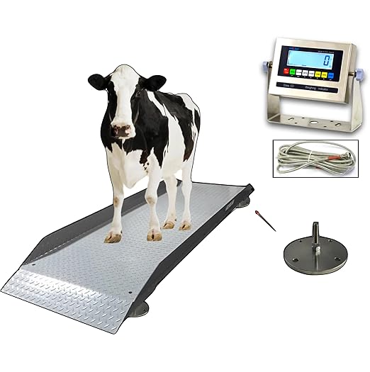 SellEton SL-929 Livestock & Cattle Alleyway Scale Animal | 5000 Lbs X 1 Lb