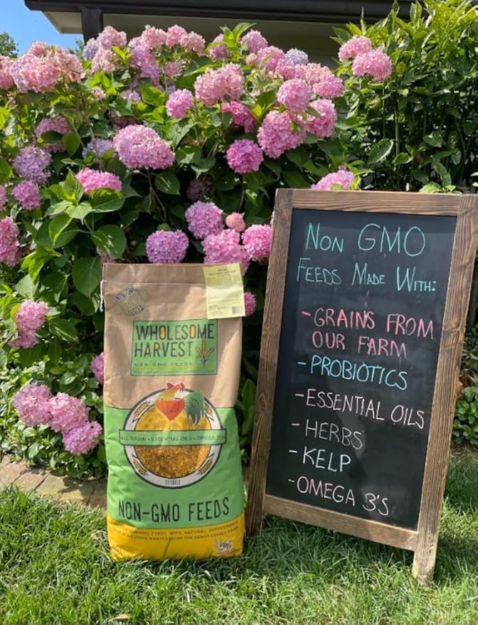 Non-GMO All-Grain Goat Feed 16% Protein - Fortifies with Goat Minerals, Vitamins, and Natural Ingredients for Strong Bones, Healthy Digestion, and Optimal Growth - 40 lb Bag