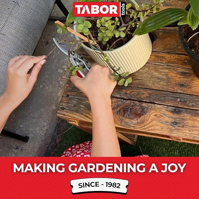 TABOR TOOLS S834A Bypass Pruning Shears, Makes Clean Cuts, Professional Sharp Secateurs, Great for M-L Size Hands, Hand Pruner, Garden Shears, Clippers for The Garden