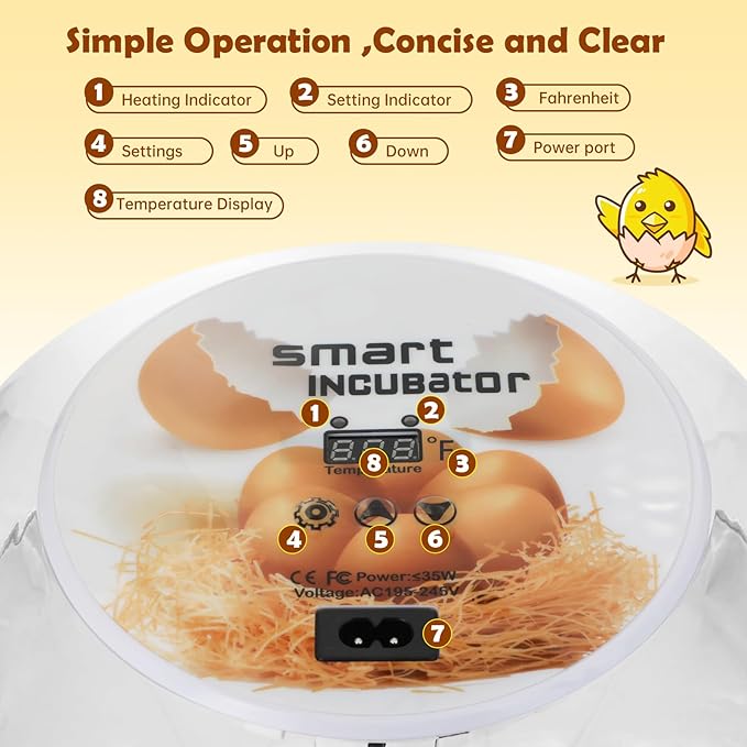 Egg Incubator for Hatching Chicks, Automatic Egg Turner Holds 12 Eggs, Smart Incubator 360° Clear Window with Temperature Display Egg Candler for Small Poultry Chickens Ducks Quails Eggs