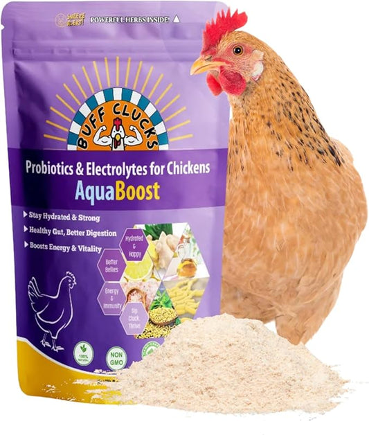 AquaBoost Probiotic + Electrolyte Powder for Chickens – Natural Hydration & Gut Support Supplemnet for Daily Wellness & Egg Production - Safe for All Flocks & Ages - USA (8 oz)