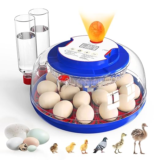 Incubators for Hatching Eggs, 18 Eggs Incubators with Egg Candler, Automatic Egg Turner, Temperature & Humidity Control, Full Viewing for Chicken, Duck, Quail, Goose, Parrot and Pigeon