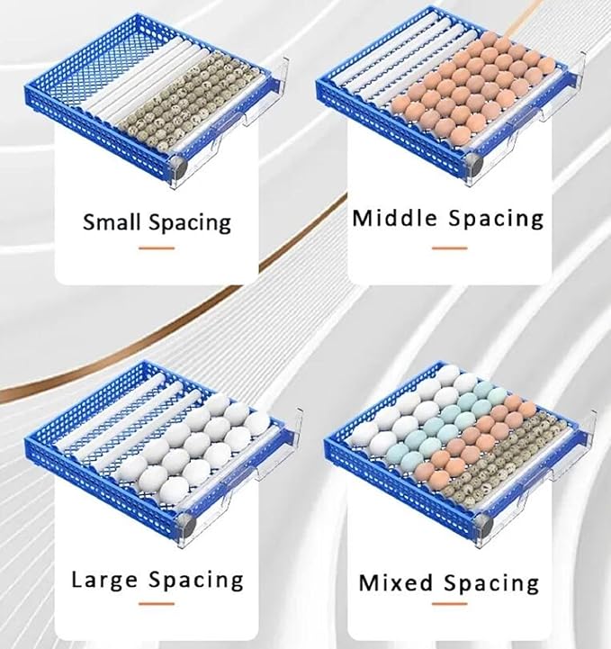 Generic Automatic Egg Incubator, Farm Poultry Hatcher Machine, LED High-Efficiency Automatic Egg Turning & Temperature Control for Hatching Chicken Duck Goose Birds(Color:128 Egg), Blue