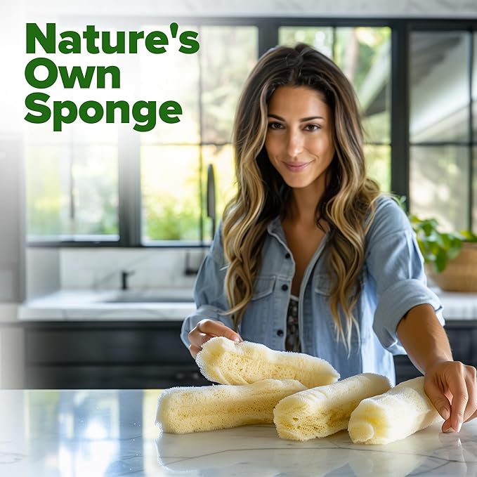 HOME GROWN Luffa Seeds 2 Pack(Luffa aegyptiaca) 80 Heirloom Non GMO Loofah Gourd Seeds for Planting High Germination Rate - Make Sponges or Harvest Young Loofahs for Eating