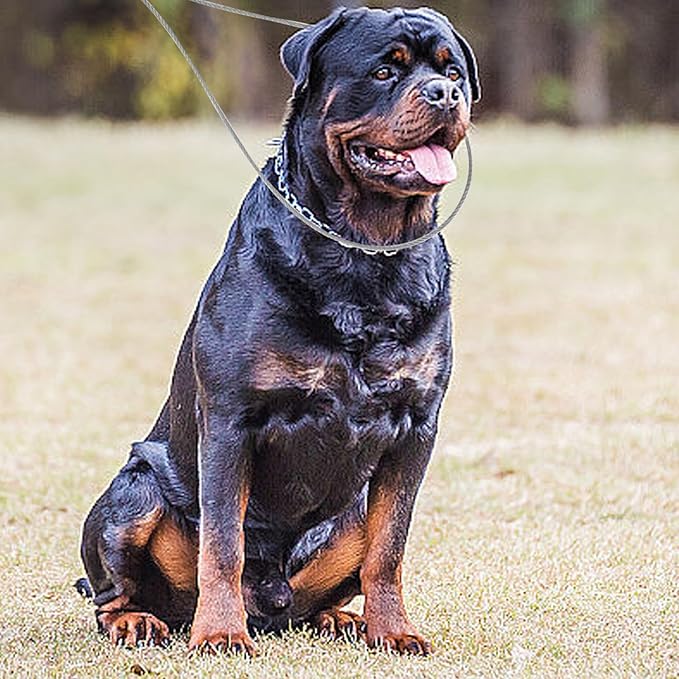 Animal Catch Pole, 19in Stainless Steel Adjustable Ring Catcher for Dog Pig Control, Heavy Duty Farm Animal Handling Tool