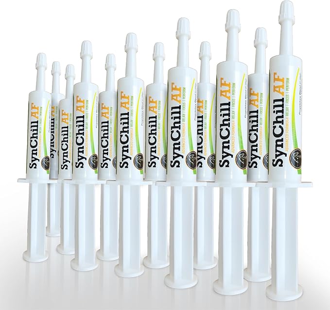 SynChill AF Behavioral Support Gel for Horses – Single Serving – Advanced L-THEANINE-Free Formula, 100% Natural Supplement, Composure, Focus & Confidence Support for Horses - 12 Pack
