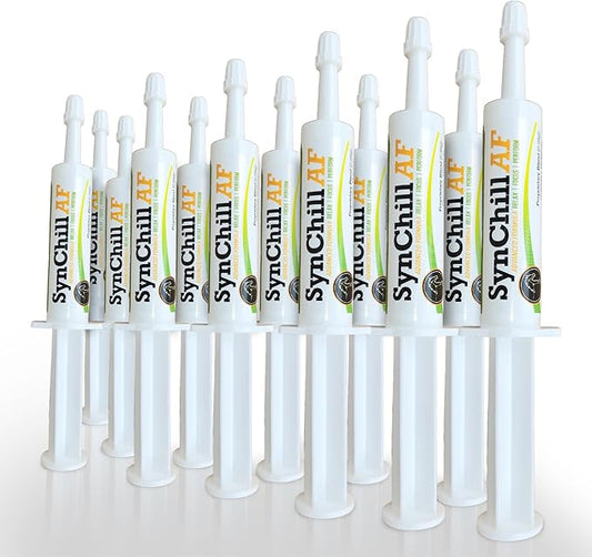 SynChill AF Behavioral Support Gel for Horses – Single Serving – Advanced L-THEANINE-Free Formula, 100% Natural Supplement, Composure, Focus & Confidence Support for Horses - 12 Pack