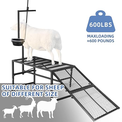 Height Adjustable Metal Goat Milking Stand with a Ramp- 600LBS Livestock Trimming Stand with Feed Bin- Goat Stand Ramp Use for Lambs Goats for Sheep Trimming