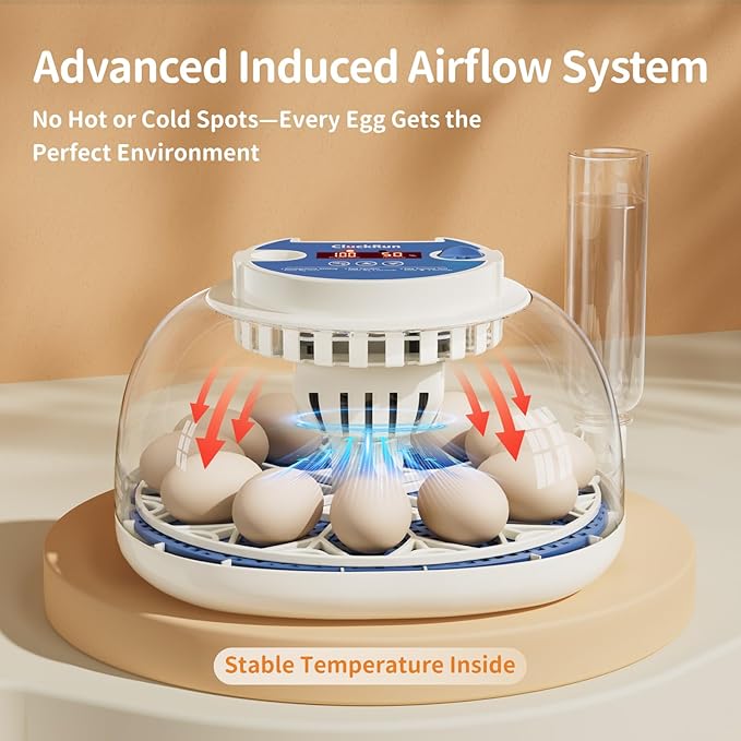 Egg Incubator, Temperature and Humidity Display, Automatic Egg Turning, Egg Candler, Incubators for Hatching Eggs, Auto External Water Bottle Refill, 12 Egg Incubator for Chicken Quail Duck Bird