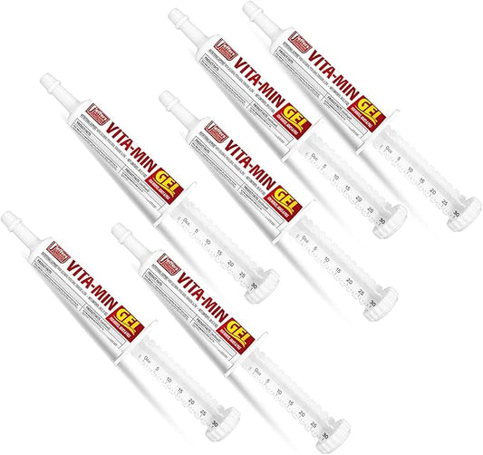 Jeffers Vita-Min Gel for Livestock & Horses – Multivitamin & Mineral Supplement with Selenium, Zinc, Potassium & Turmeric – Easy Oral Gel for Cattle, Goats, Sheep & Pig – 30 cc Tube - 6 Pack