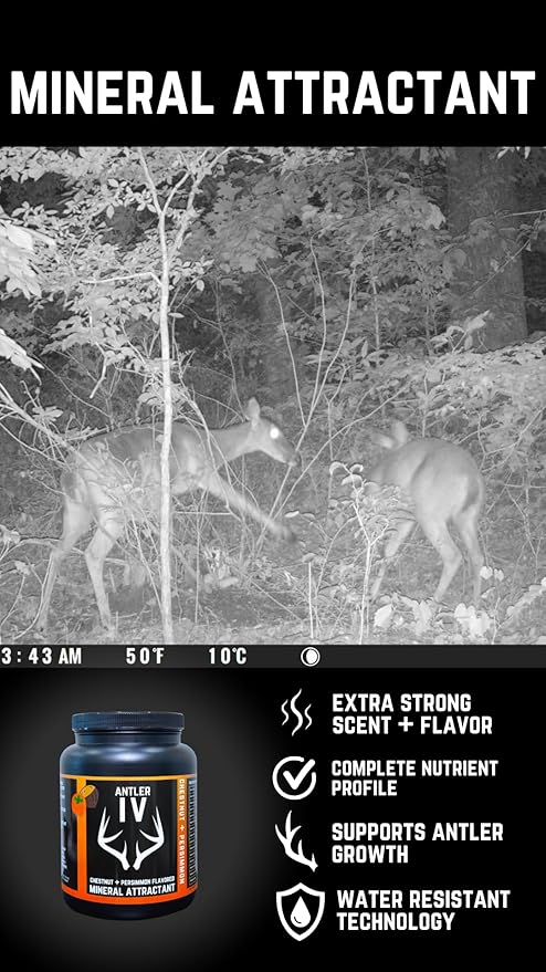 Antler IV Mineral Attractant, 5.5lb jug or 30lb Bucket, Highly Attractive Chestnut and Persimmon Flavor and Scent