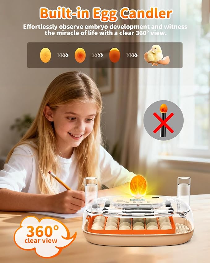 Egg Incubator for 24 Chicken Eggs with Automatic Turner, Digital Temperature Control & Humidity Display, Candler, Poultry Hatcher for Chicken, Duck, Quail, Birds (Orange)