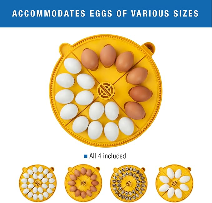 Brinsea Maxi 24 EX Connect App Controlled Egg Incubator with Automatic Humidity Control and Egg Turning for Hatching 24 Chicken, Duck, Other Eggs. Precision App-Driven Digital Controls and Alarms