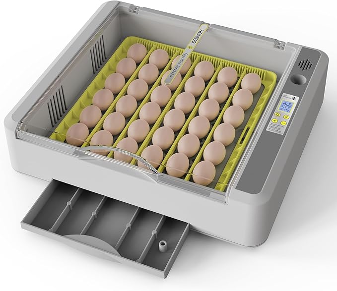 Egg Incubator for Hatching Chicks, 36 Eggs Automatic Turner with Temperature & Humidity Control, Multifunctional Ultra-Clear Panoramic View with Hatch Days & Egg Candler for Chicken, Duck, Goose, Bird