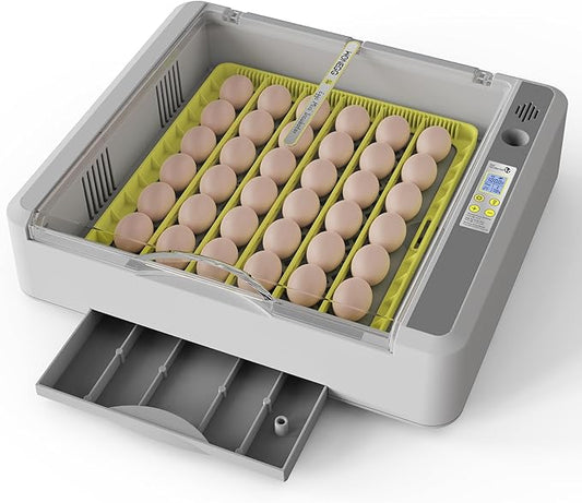 Egg Incubator for Hatching Chicks, 36 Eggs Automatic Turner with Temperature & Humidity Control, Multifunctional Ultra-Clear Panoramic View with Hatch Days & Egg Candler for Chicken, Duck, Goose, Bird