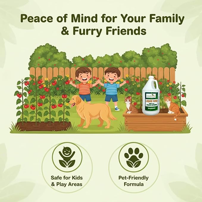 GS Plant Foods Liquid Kelp Fertilizer – Suitable for Organic Growing, OMRI Listed Seaweed Concentrate for Lawns, Gardens & Soil - 1 Gallon (Makes Up To 800+ Gallons)