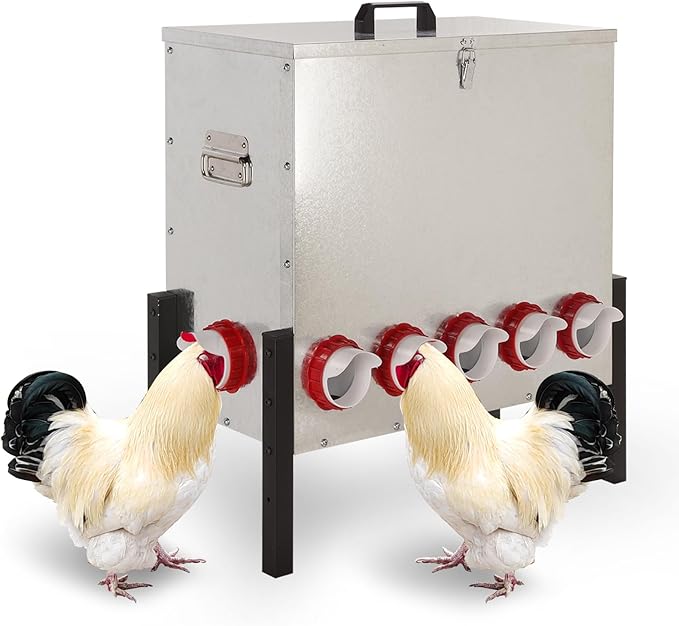 100LB Automatic Chicken Feeder with Cover – Large Capacity Metal Chicken Coop Feeder with 12 Feed Ports, Adjustable Legs Rainproof No Waste Outdoor Poultry Feeder for Hens & Free Range Flocks