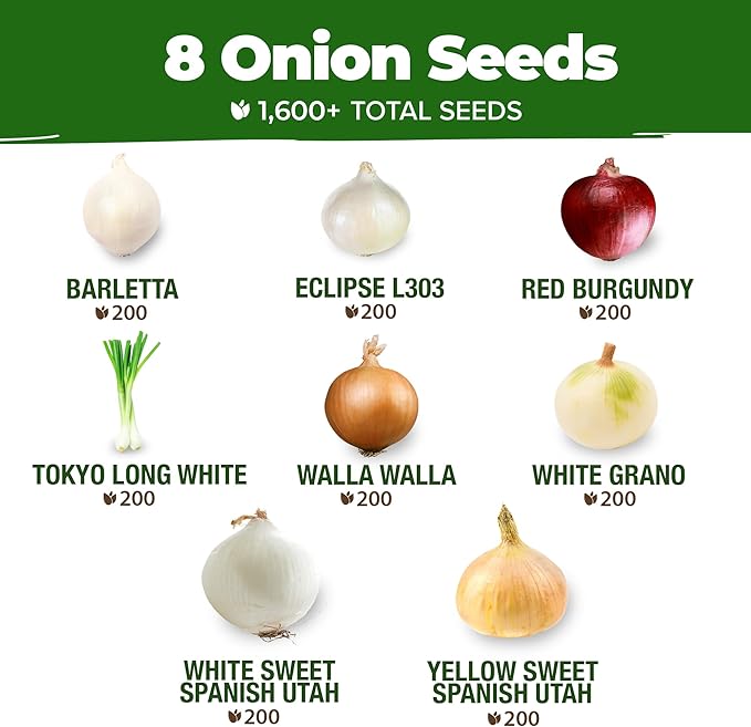 HOME GROWN 8 Onion Seeds for Planting – 1,600 Heirloom Vegetable Seeds – Grow Sweet, Yellow, Red, Spanish, Green & Vidalia Onions in Outdoor or Indoor Home Garden