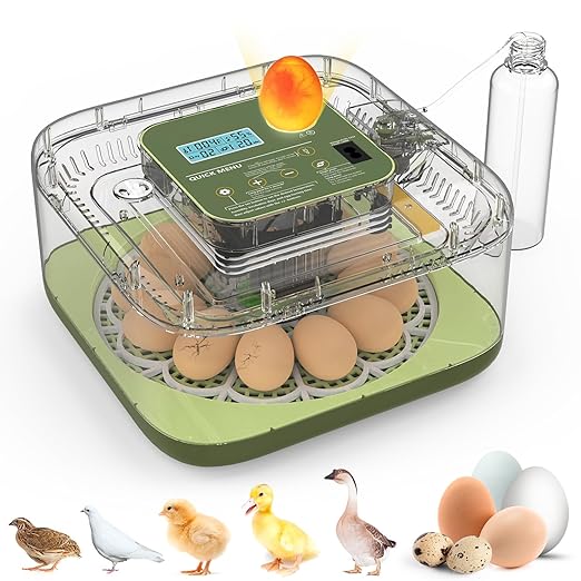 12 Egg Incubator with Automatic Turning, Temperature and Humidity Control, LED Egg Candler, and Auto Water Addition, for Hatching Chicken, Goose, Duck, Quail, Pigeon, and Turkey Eggs