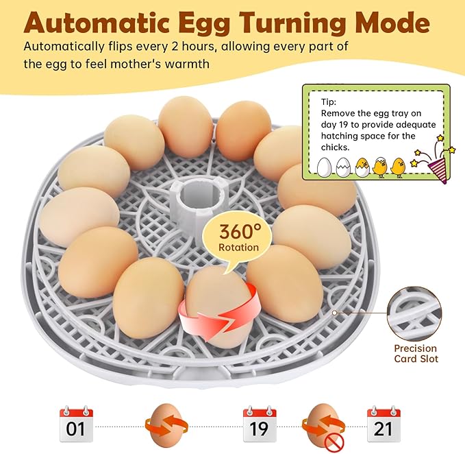 Egg Incubator for Hatching Chicks, Automatic Egg Turner Holds 12 Eggs, Smart Incubator 360° Clear Window with Temperature Display Egg Candler for Small Poultry Chickens Ducks Quails Eggs