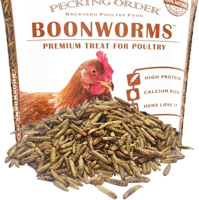 Pecking Order Boonworms Treat for Chickens are Protein and Calcium Rich Black Soldier Fly Larvae to Support Laying Hens (11 LB)