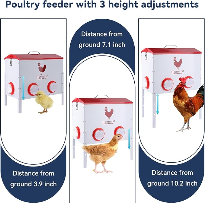 40 lb Large Automatic Chicken Feeder - 6 Feeding Ports, Anti-Waste Design,Height-Adjustable & Secure Locking Lid, Outdoor Rustproof Metal Chicken Feeder Feed Box for Poultry & Backyard