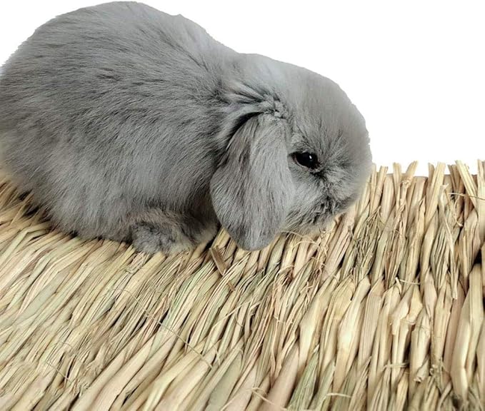 Grass Mat Woven Bed Mat for Small Animal 3PCS Large Bunny Bedding Nest Chew Toy Bed Play Toy for Guinea Pig Parrot Rabbit Bunny Hamster Rat