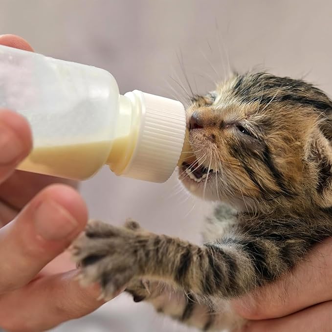 GKYZBB 4Pack 120ML pet Puppy Bottles for Nursing,Kitten Bottle Feeding Kit Nipple for Newborn Kitten Puppy Rabbits Squirrel Animals